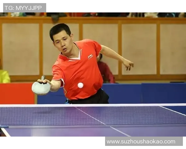 从零基础到乒乓球高手的节奏训练全攻略与技巧分享MBA