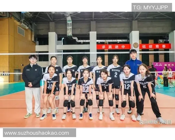 南京排球队在排球比赛中创下新高经验排名引发关注与期待