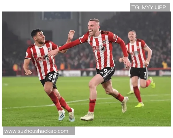 史云斯与伯明翰对决分析及赛事前瞻精彩看点全解析