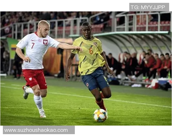 埃及与哥伦比亚足球场地对比分析探讨赛事影响与观众体验