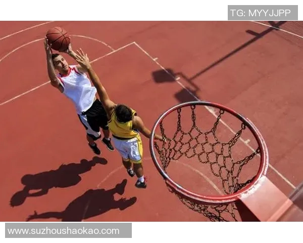 明星篮球包的魅力与实用性解析让你在球场上尽显风采